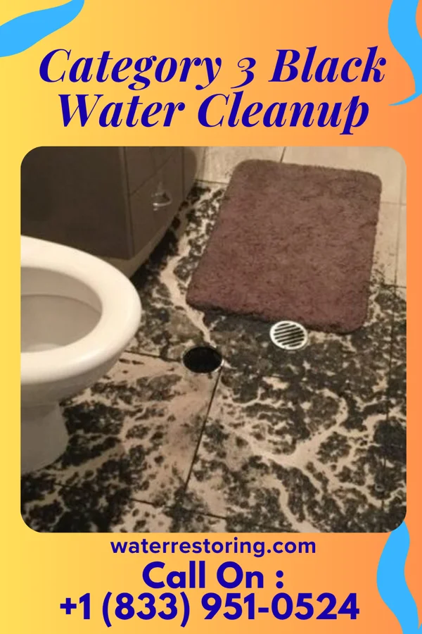 Category 3 Black Water Cleanup in Renwick, IA