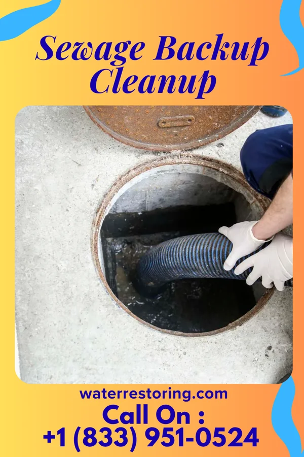 Sewage Backup Cleanup in Renwick, IA